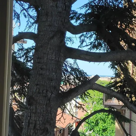 Panoramica * פסארו