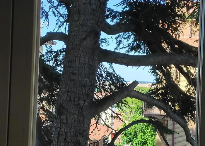 Panoramica * פסארו